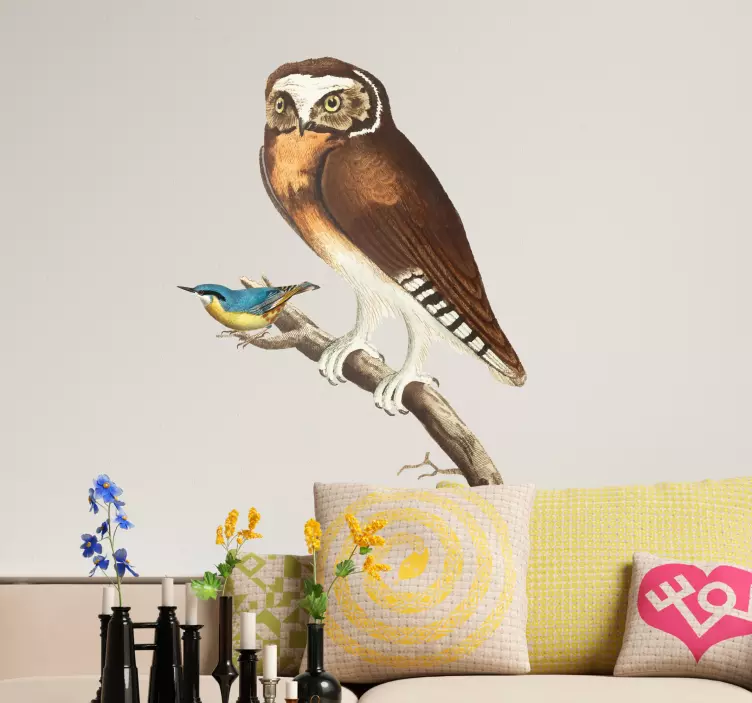 Αυτοκόλλητο πουλί ζευγάρι κουκουβάγιας και μπλε πουλιού - TenStickers