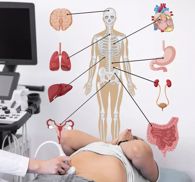 ιατρική infographics wall decal - TenStickers