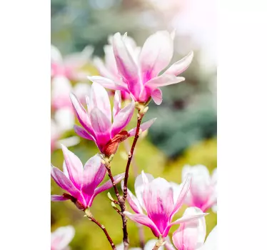 λουλούδια magnolia διακοσμητικό παράθυρο - TenStickers
