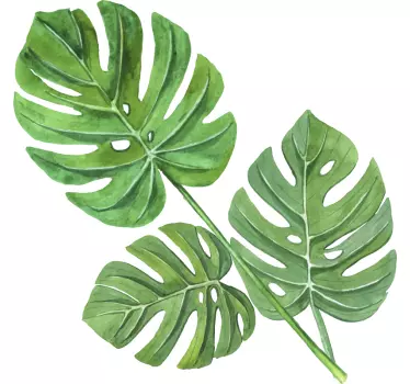 Monstera ακουαρέλα φύλλα φυτό τοίχου decal - TenStickers