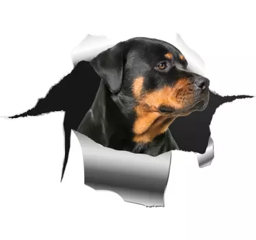 αυτοκόλλητο rottweiller τρύπα χαλκομανίες για κατοικίδια - TenStickers