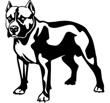 αυτοκόλλητο pitbull dog - TenStickers
