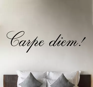 Αυτοκόλλητα με λεπτές γράμματα carpe diem - TenStickers