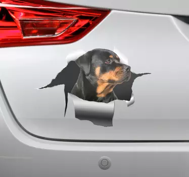 αυτοκόλλητο rottweiller τρύπα χαλκομανίες για κατοικίδια - TenStickers
