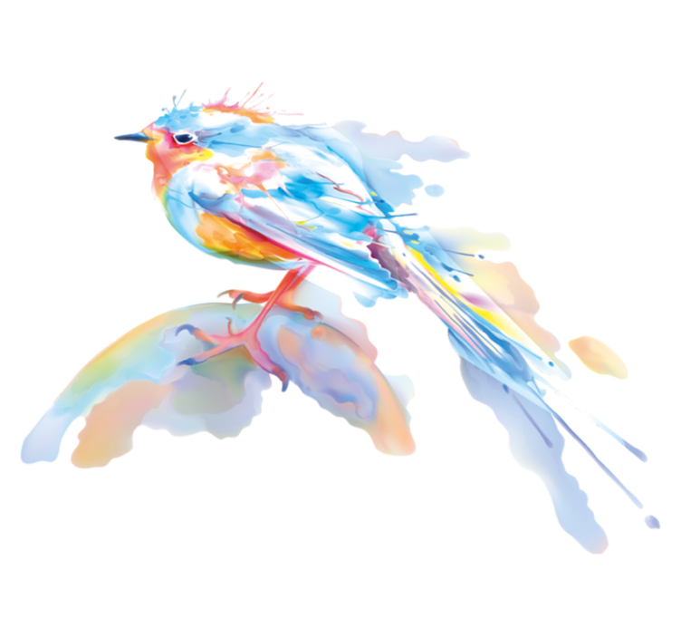 Χαλί με εκτύπωση ζώου splash πουλιών - TenStickers