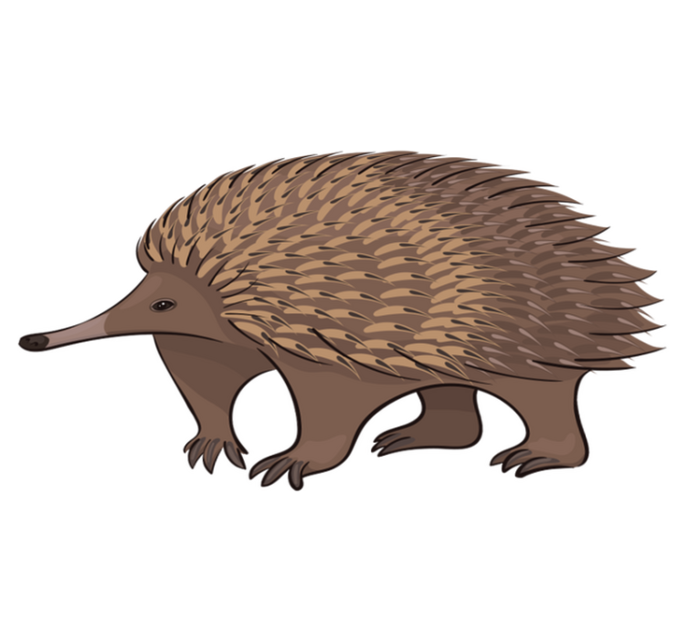 Χαλί με εκτύπωση ζώου Φιλικός σκαντζόχοιρος - TenStickers