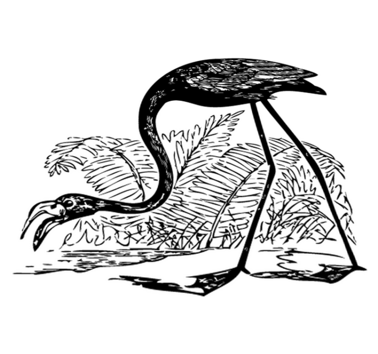 Χαλί με εκτύπωση ζώου Φλαμίνγκο με φτέρες - TenStickers