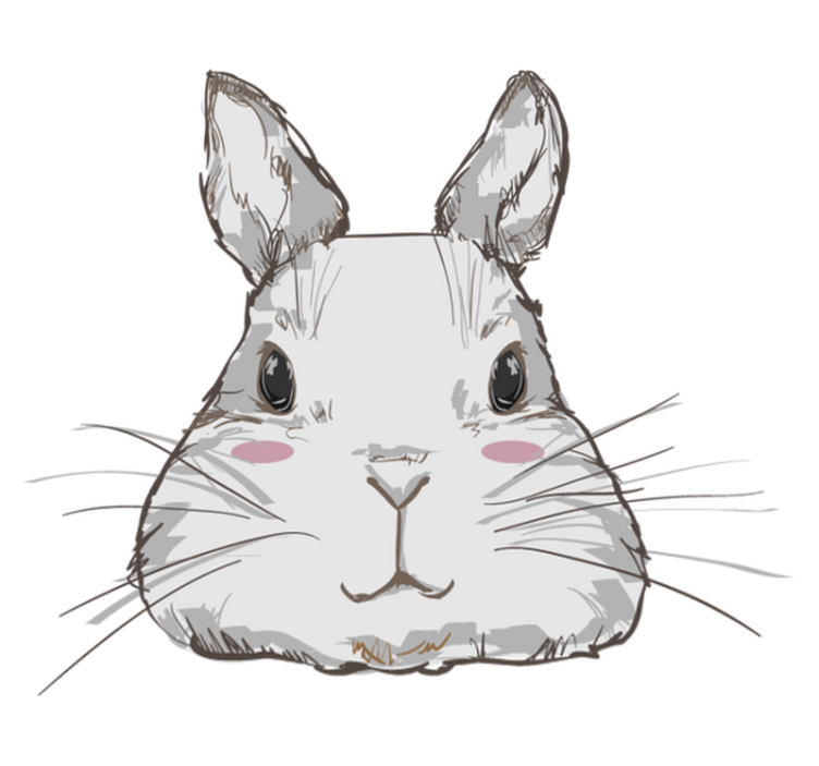 Χαλί με εκτύπωση ζώου Κουκλίστικο Κουνελάκι - TenStickers