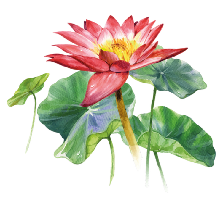 Χαλί κρεβατοκάμαρας Λωτός υδατογραφία ψευδαίσθηση - TenStickers