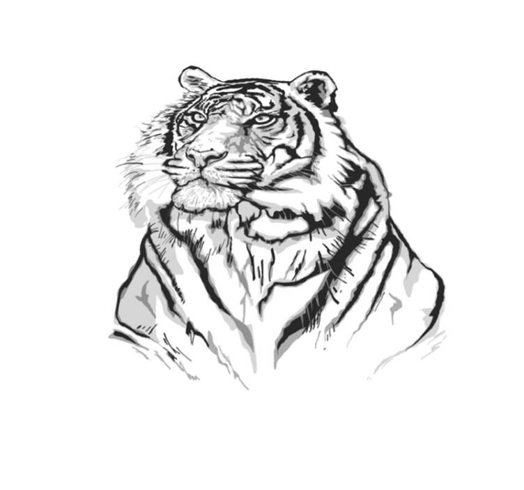 λευκή τίγρη ζωικό χαλί από βινύλιο - TenStickers