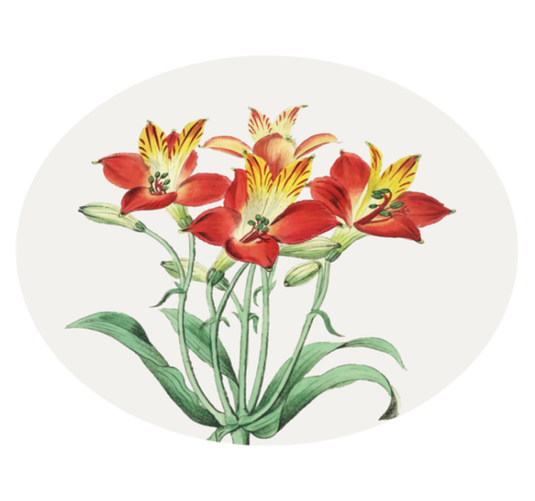 xαλί βινυλίου με λουλούδια ζωηρά κόκκινα άνθη - TenStickers