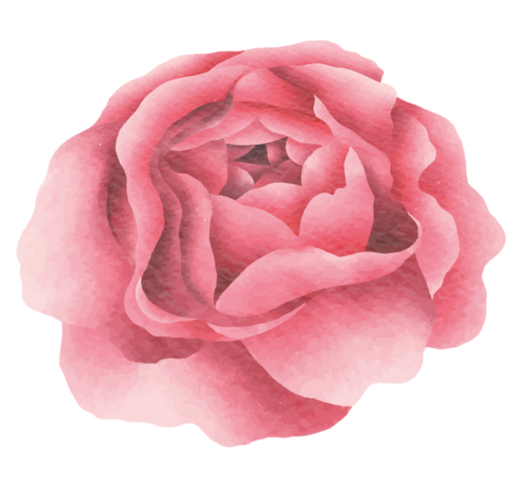 xαλί βινυλίου με λουλούδια ροζ άνθος - TenStickers