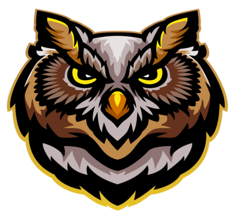 xαλί με εκτύπωση ζώου τέχνη προσώπου κουκουβάγιας - TenStickers