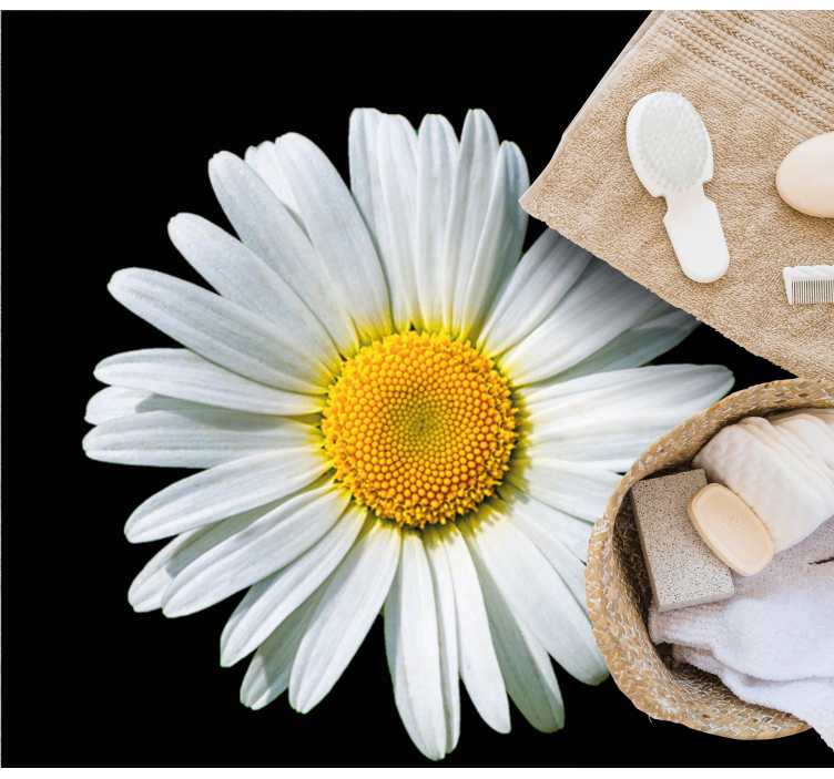 μαύρο και άσπρο μαργαρίτα λουλουδάτο χαλί - TenStickers