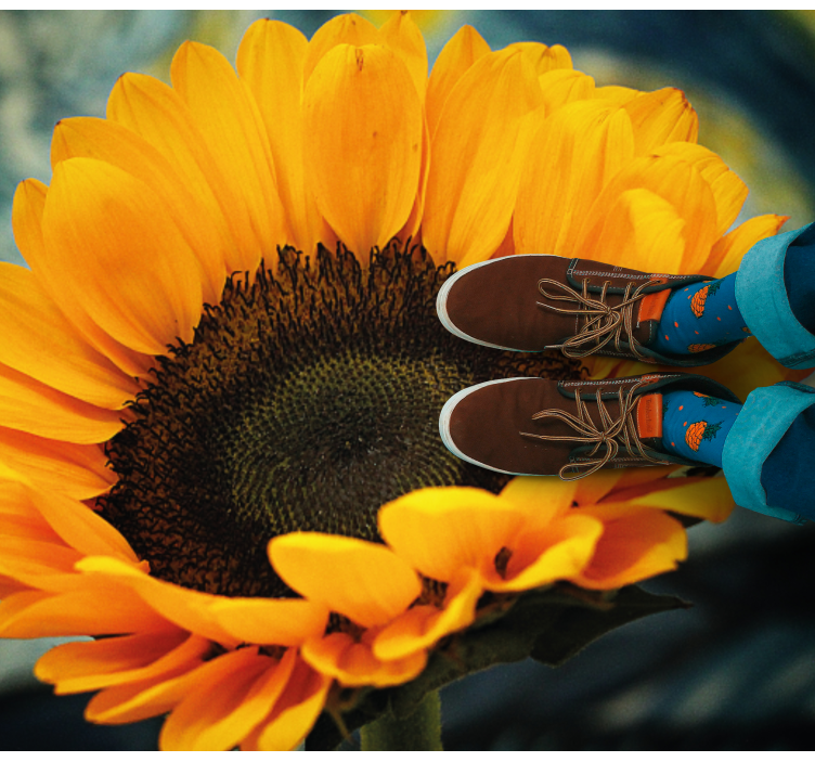 xαλί βινυλίου με λουλούδια ηλιοτρόπιο που ανθίζει φωτεινό - TenStickers