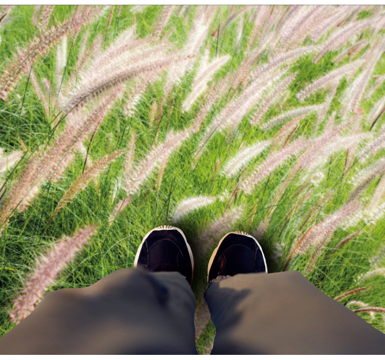 πλακάκια αίθουσα εισόδου λιβαδιών - TenStickers