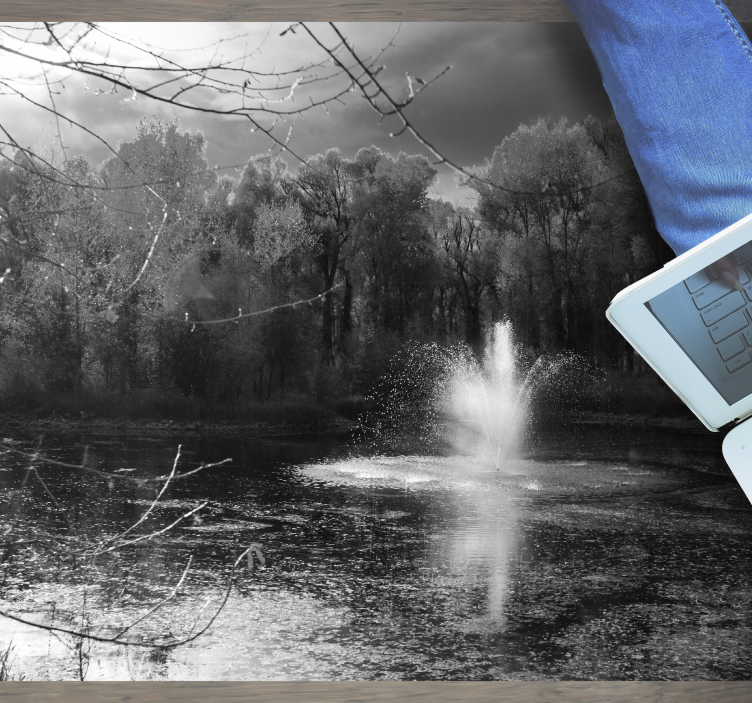 γκρι δασική φύση χαλί βινυλίου - TenStickers