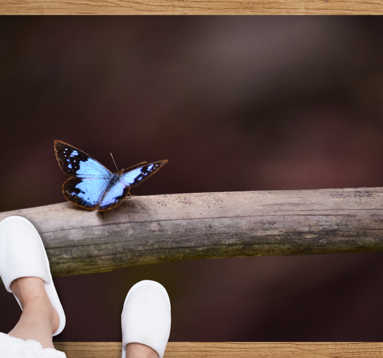 χαλί φύσης πεταλούδα σε κλαδί - TenStickers