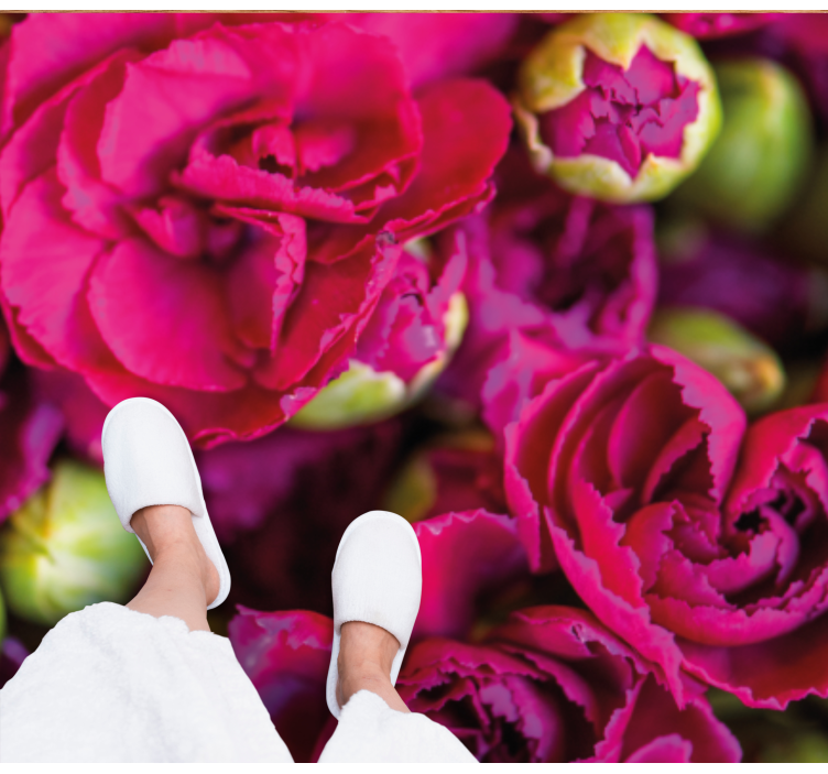 ροζ γαρύφαλλα ανθισμένα λουλούδια - TenStickers