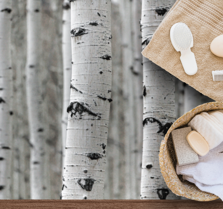 λευκό σημύδα δάσος υφή χαλί - TenStickers