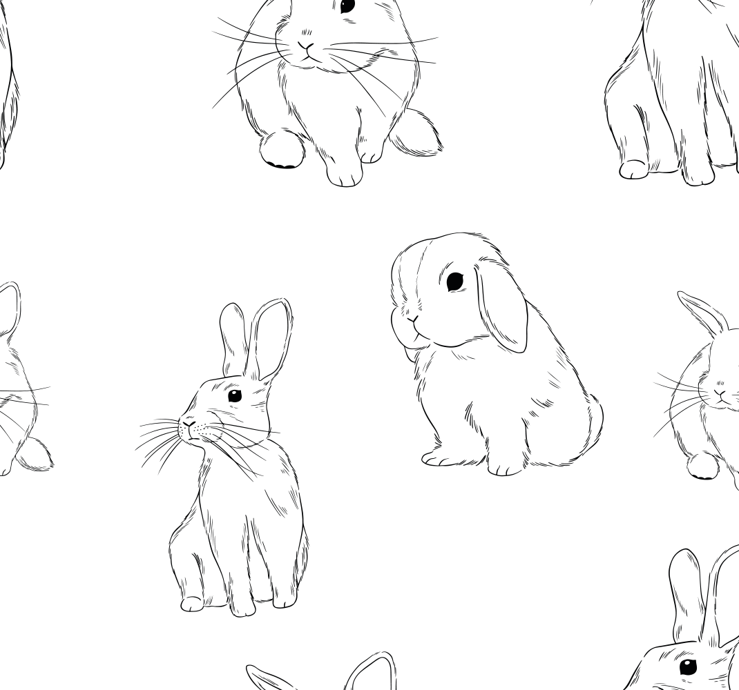 άσπρο xαλί λευκά κουνελάκια - TenStickers