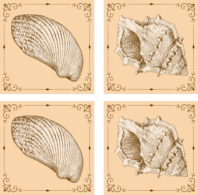 Χαλί με εκτύπωση ζώου vintage κοχύλια - TenStickers