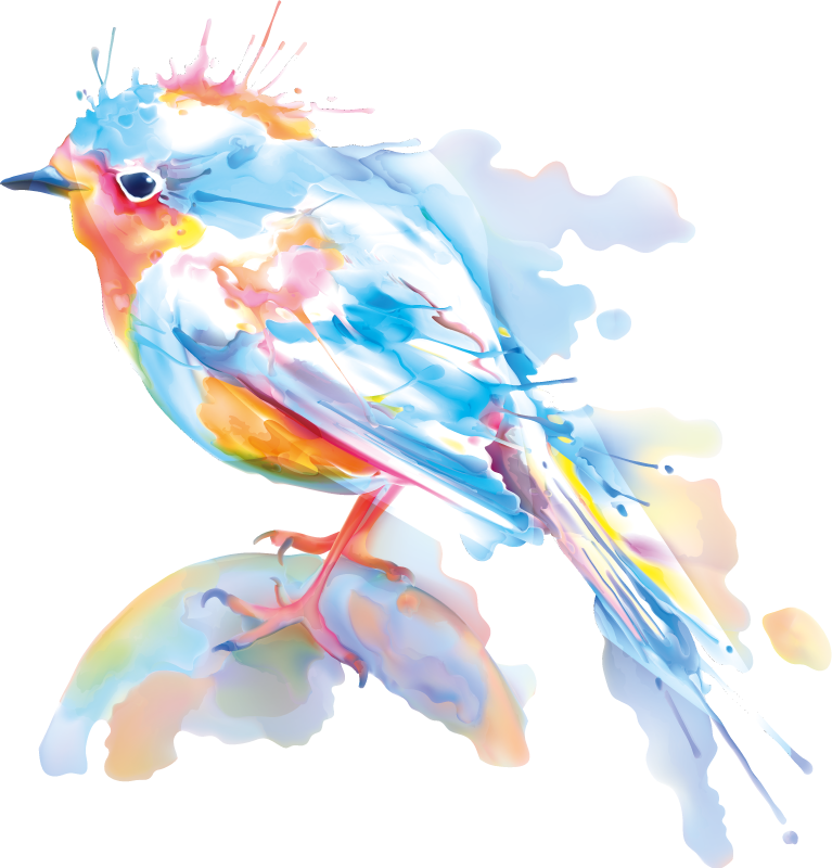 Χαλί με εκτύπωση ζώου splash πουλιών - TenStickers