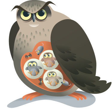 Χαλί με εκτύπωση ζώου Μητέρα κουκουβάγια - TenStickers