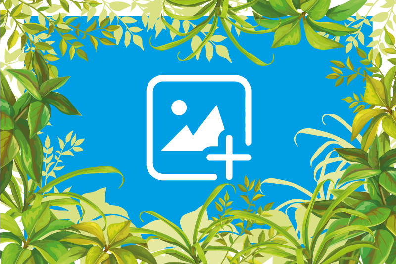 Χαλί με εκτύπωση ζώου Γάτα ανάμεσα σε φυτά - TenStickers