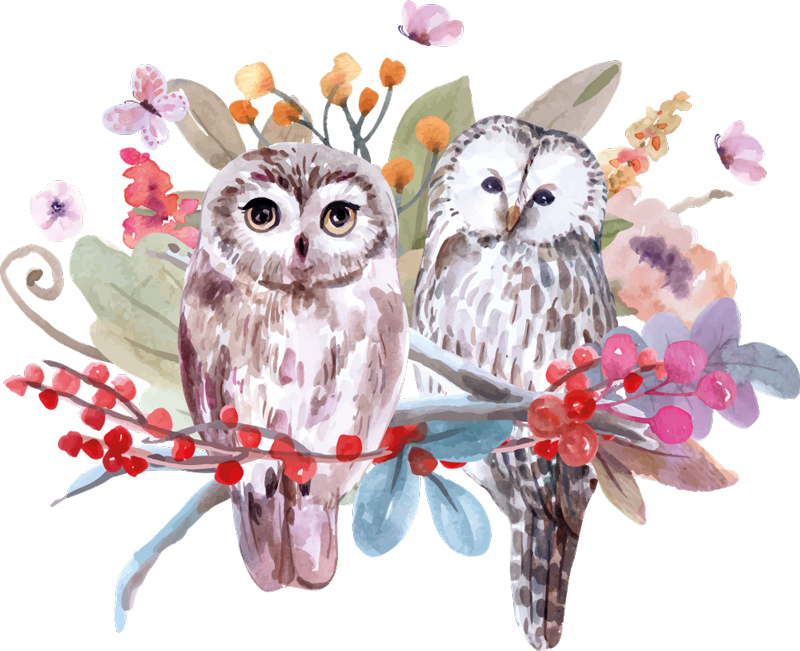 Χαλί με εκτύπωση ζώου Κουκουβάγιες στη Φύση - TenStickers