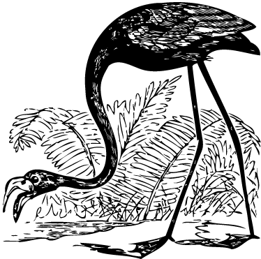 Χαλί με εκτύπωση ζώου Φλαμίνγκο με φτέρες - TenStickers