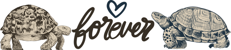 Χαλί με εκτύπωση ζώου Φράση Αγάπης Χελώνων - TenStickers