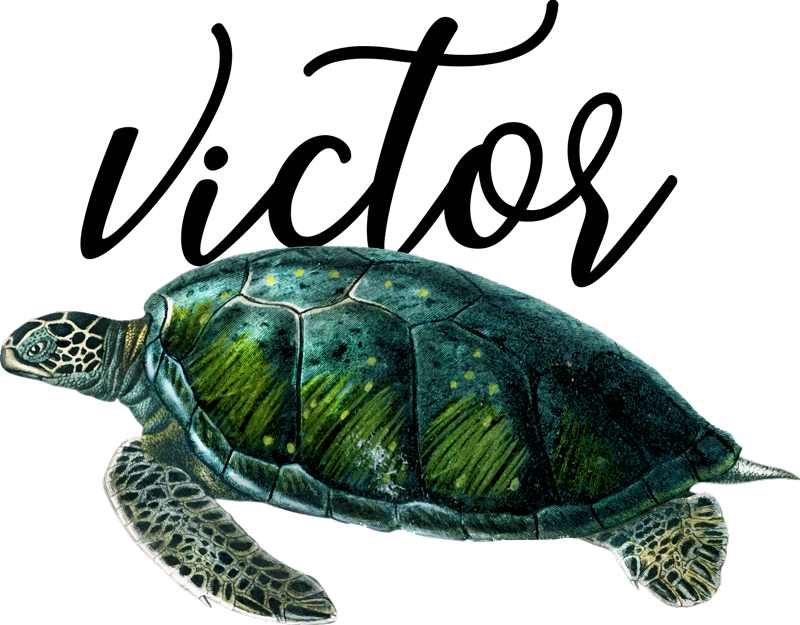 Χαλί με εκτύπωση ζώου Σχεδιασμός χελώνας προσαρμόσιμος - TenStickers