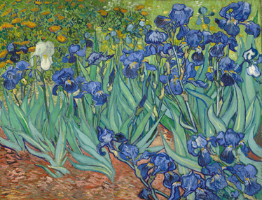 Χαλί βινυλίου με λουλούδια van gogh - TenStickers