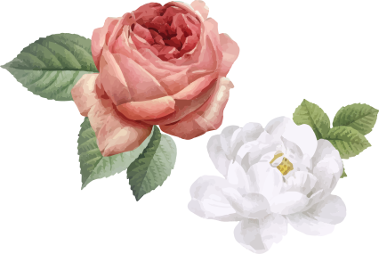 Χαλί κρεβατοκάμαρας με λευκά και ροζ τριαντάφυλλα - TenStickers