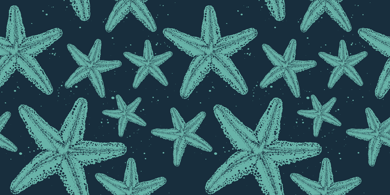 Χαλάκι μπάνιου starfish σε μπλε τόνους - TenStickers