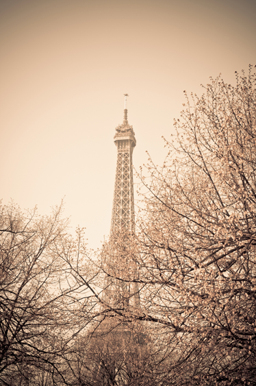 Χαλί κρεβατοκάμαρας με φωτογραφία από την Εύφηλη και δέντρα - TenStickers