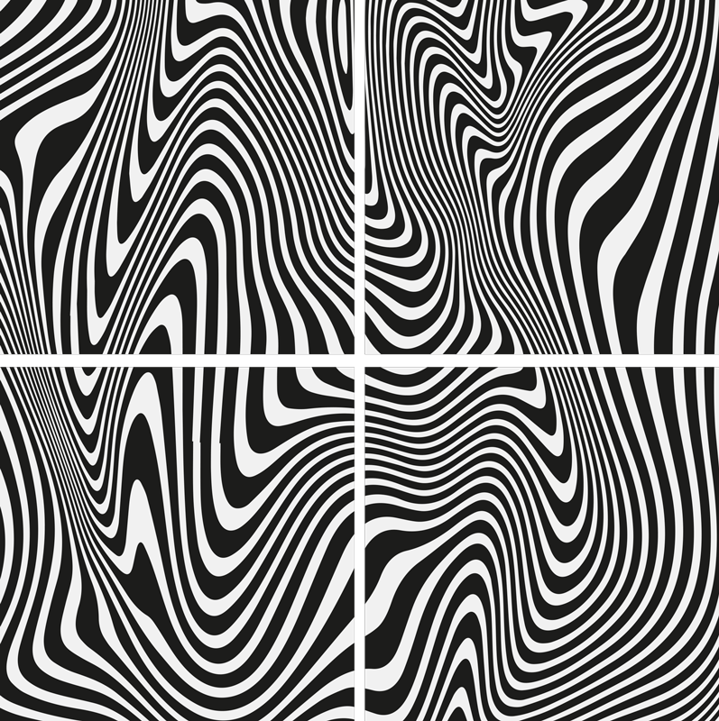 Μαύρο χαλί με 3d εφέ ζέβρας - TenStickers