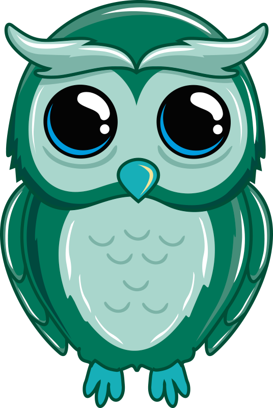 Παιδικό χαλί δαπέδου με εικονογράφηση κουκουβάγιας - TenStickers