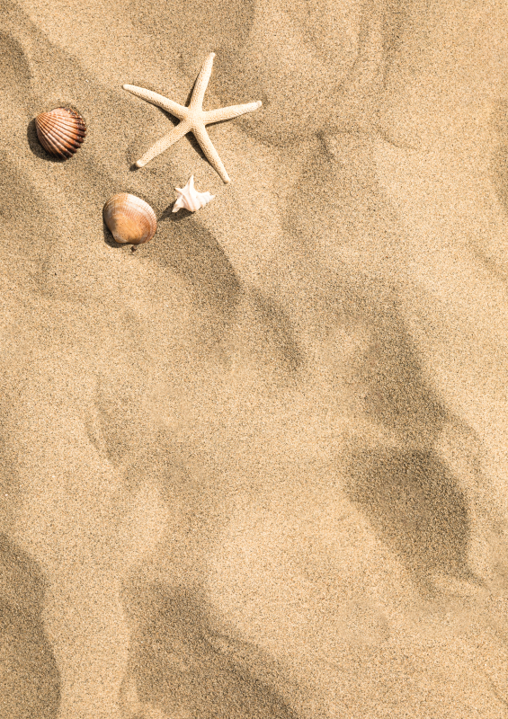 καλοκαιρινό χαλί βινυλίου χαλί άμμο πέτρινα πλακάκια δαπέδου - TenStickers