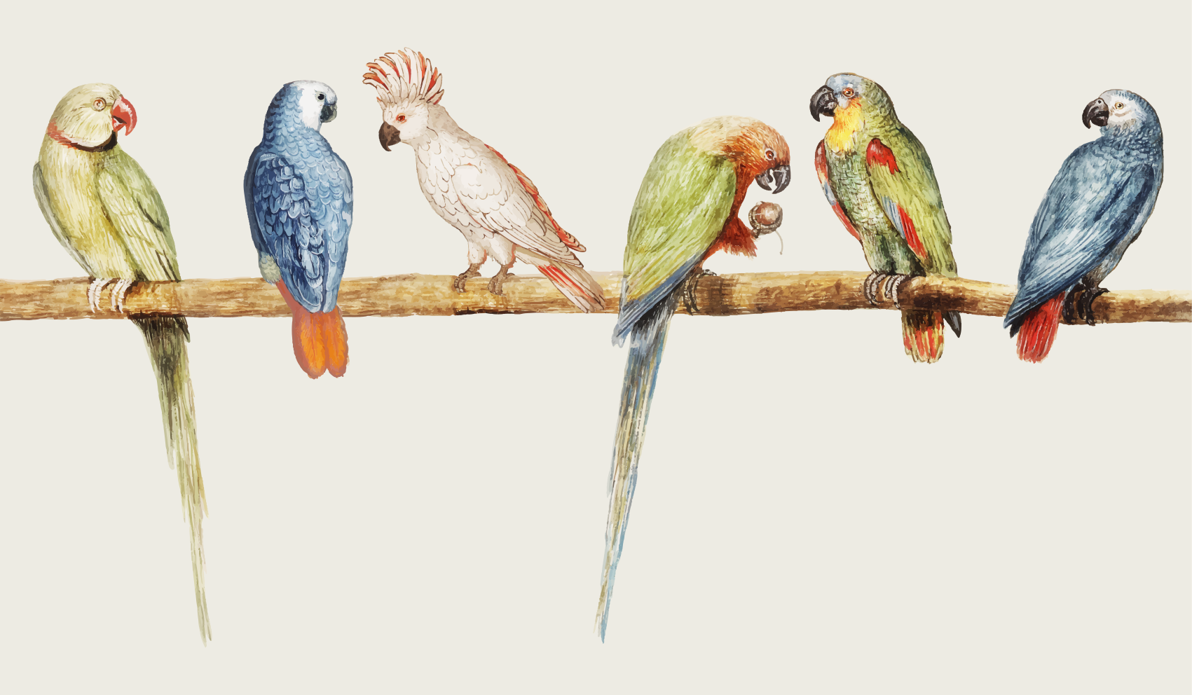 μοντέρνο γκρι με πουλιά και κλαδιά λουλουδάτο χαλί - TenStickers