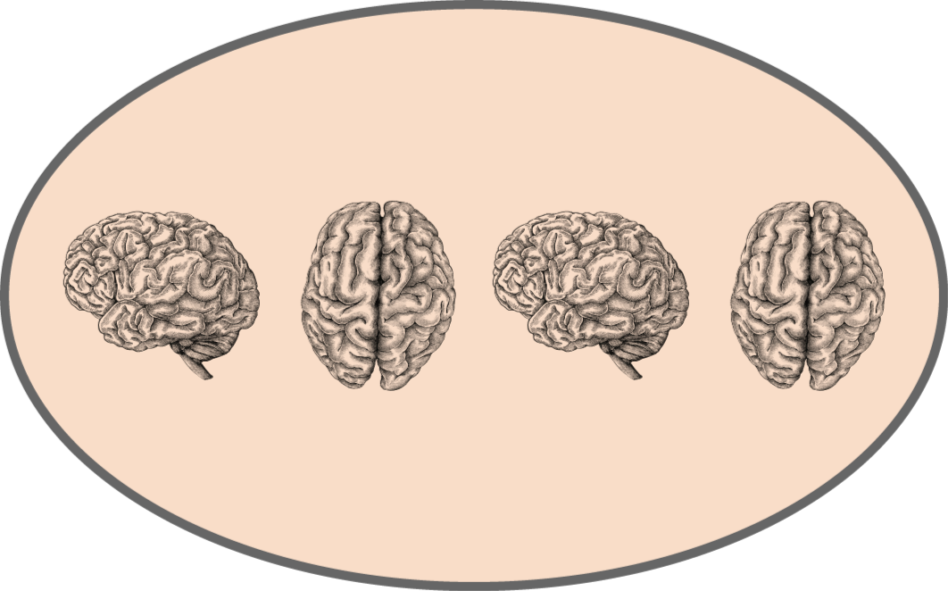 σειρά vintage εγκεφάλου κουβέρτα - TenStickers