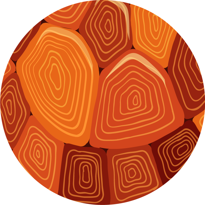 χελώνα σπίτι εκτύπωσης ζωικό χαλί βινύλιο εκτύπωσης - TenStickers