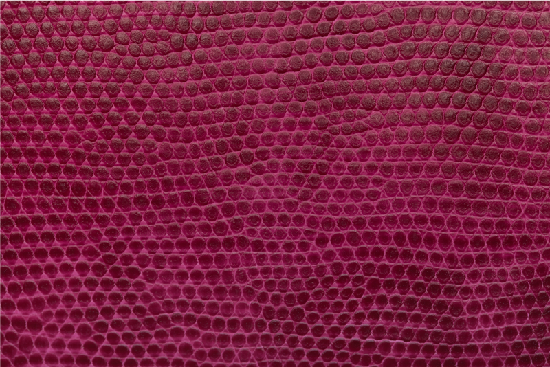 xαλί με εκτύπωση ζώου κατακόκκινο ύφασμα με υφή - TenStickers