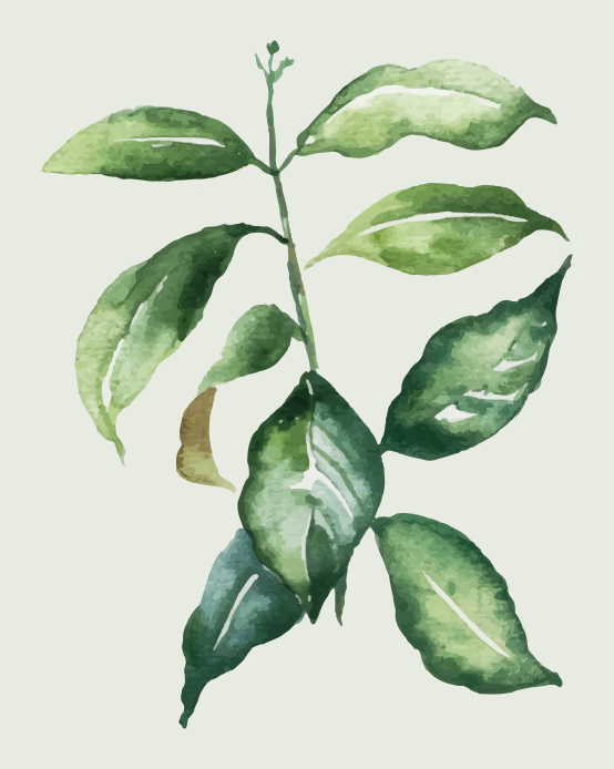 xαλί βινυλίου με λουλούδια εικονογράφηση βοτανικών φύλλων - TenStickers