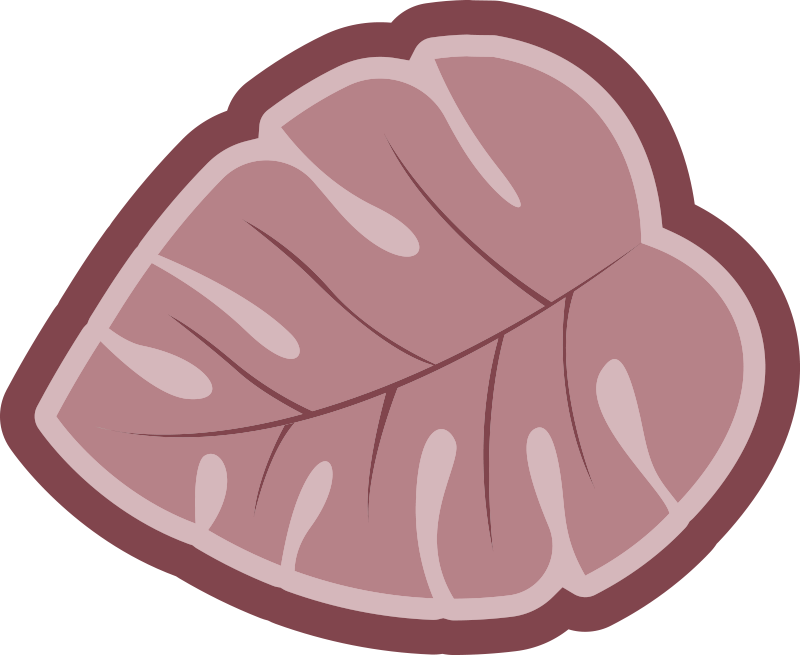 ροζ χαλί από φύλλα monstera - TenStickers