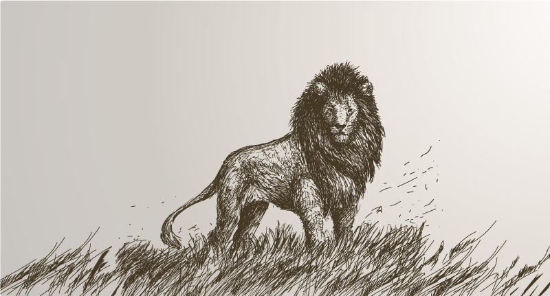 ρεαλιστική κουβέρτα με λιοντάρι - TenStickers