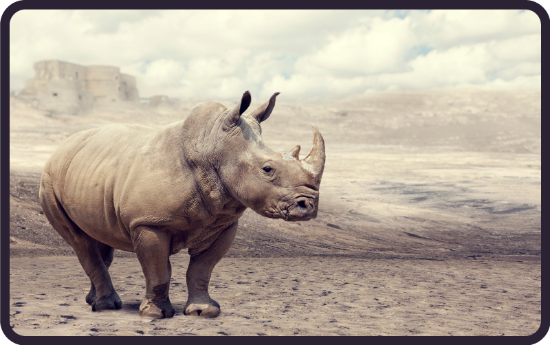 άγριο ρινόκερο ζωικό χαλί καφέ και γκρι - TenStickers