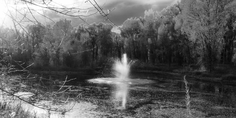 γκρι δασική φύση χαλί βινυλίου - TenStickers