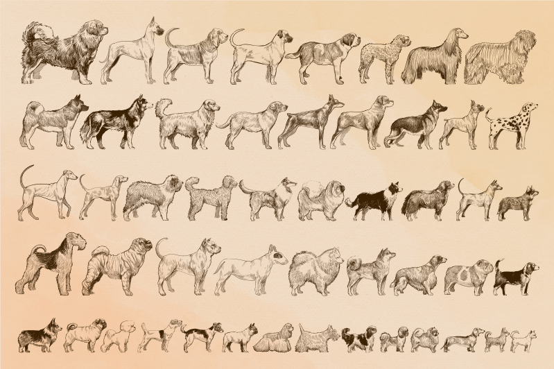 σκύλος μεγέθη χαλί από βινύλιο - TenStickers